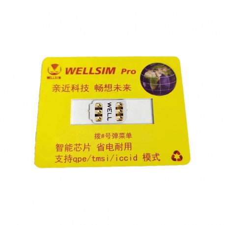 WELLSIM